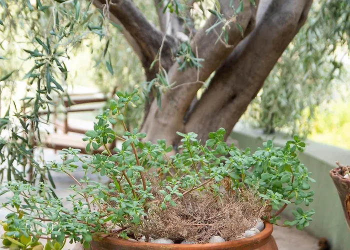 Marianne's Olive Grove - Loutraki * Озеро Вульягмени