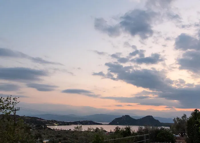 Villa Marianne's Olive Grove - Loutraki